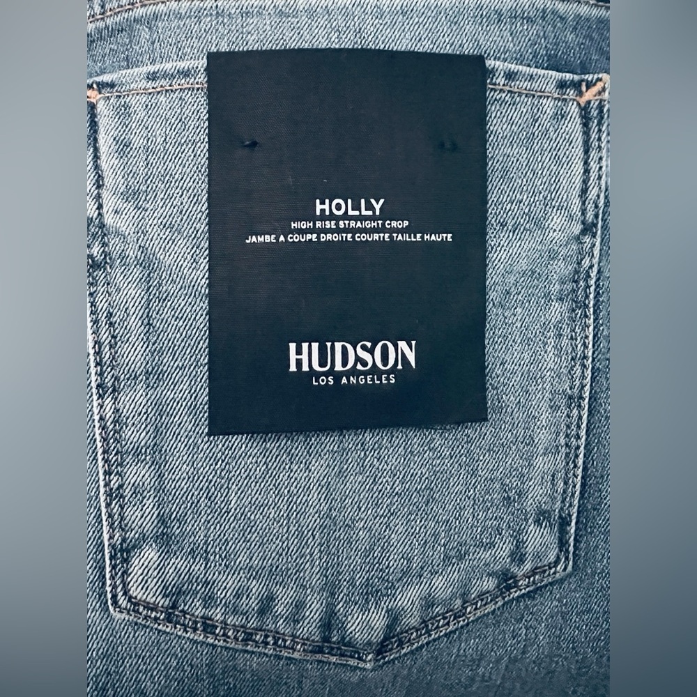 Hudson Jeans Straight Leg in Blue